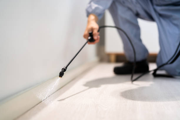 Professional exterminator conducting IPM assessment in Brownwood